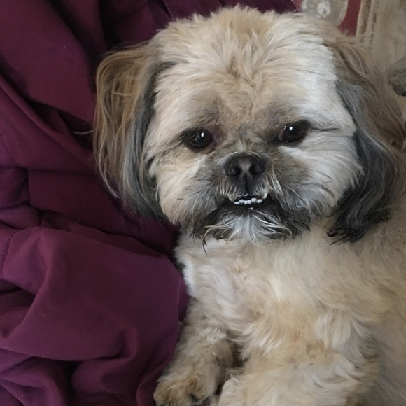 Meet your Posher, Floyd - Picture 13 of 15